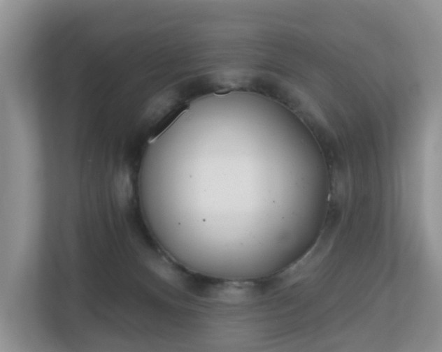X0000110900128200906251345