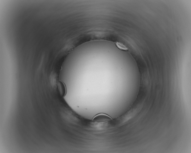 X0000110900135200906251345