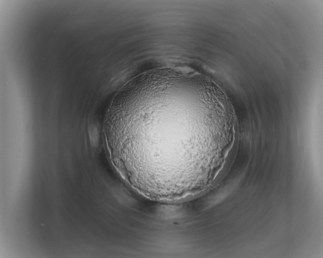 X0000110900139200906251345
