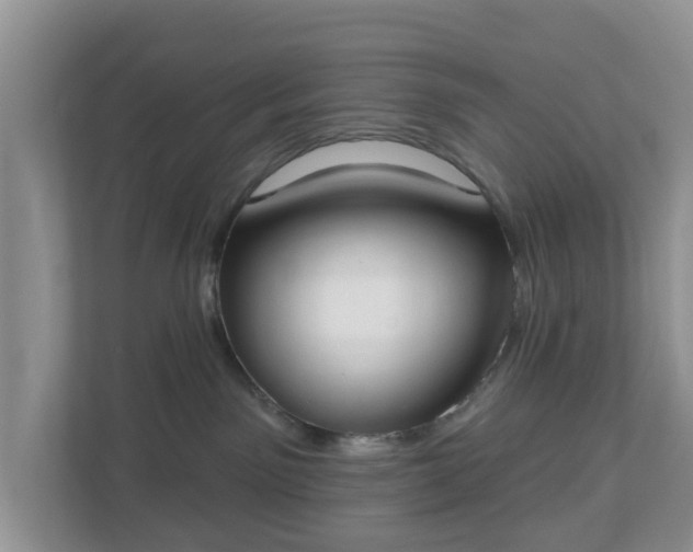 X0000110900141200906251345