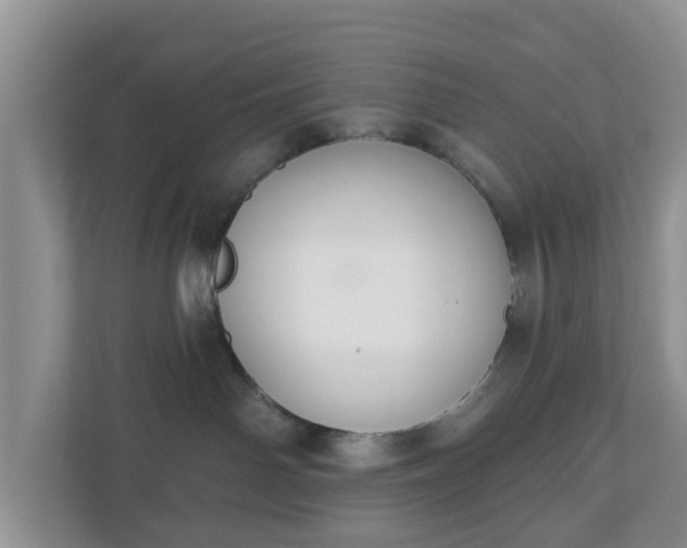 X0000110900142200906251345