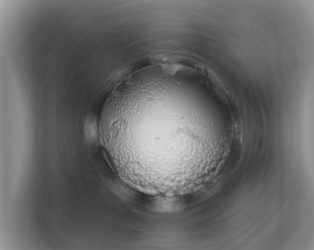 X0000110900143200906251345