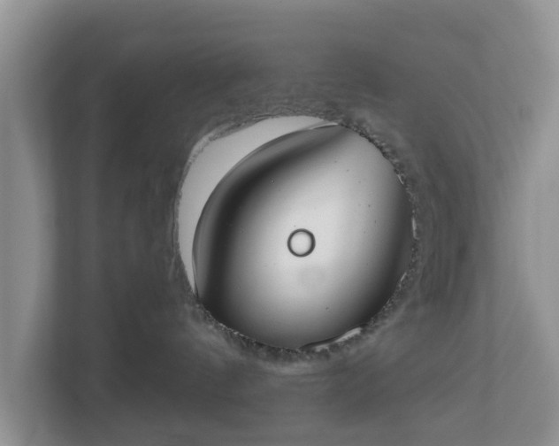 X0000110900144200906251345