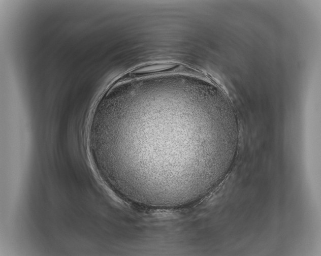 X0000110900145200906251344