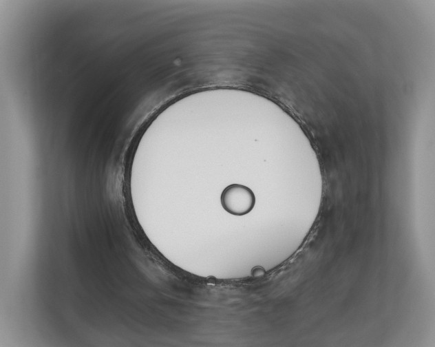 X0000110900146200906251344