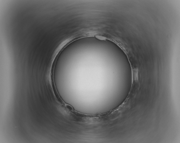 X0000110900147200906251344