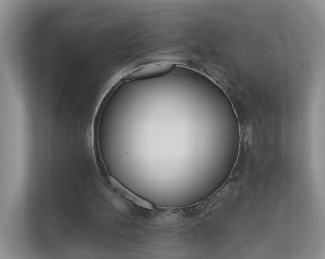 X0000110900148200906251344