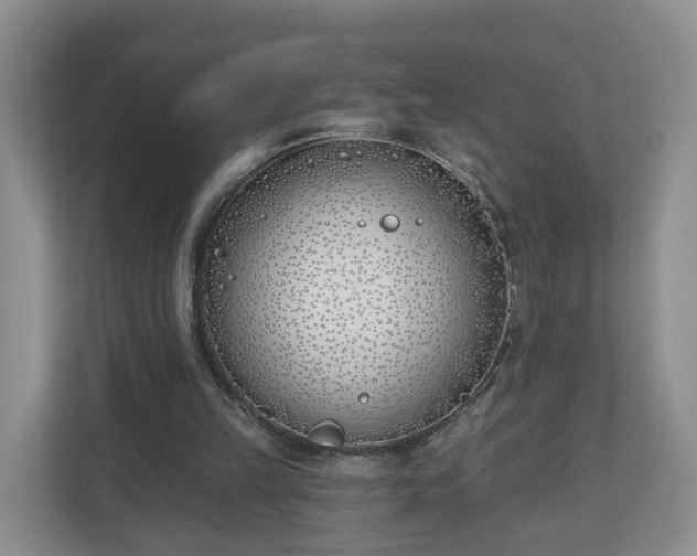 X0000110900149200906251344