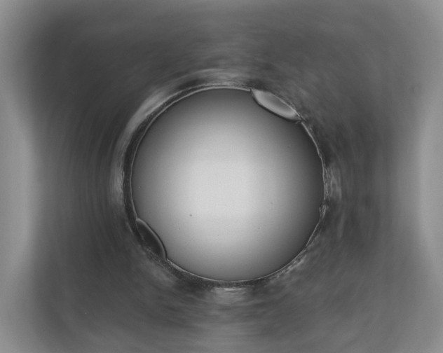 X0000110900150200906251344