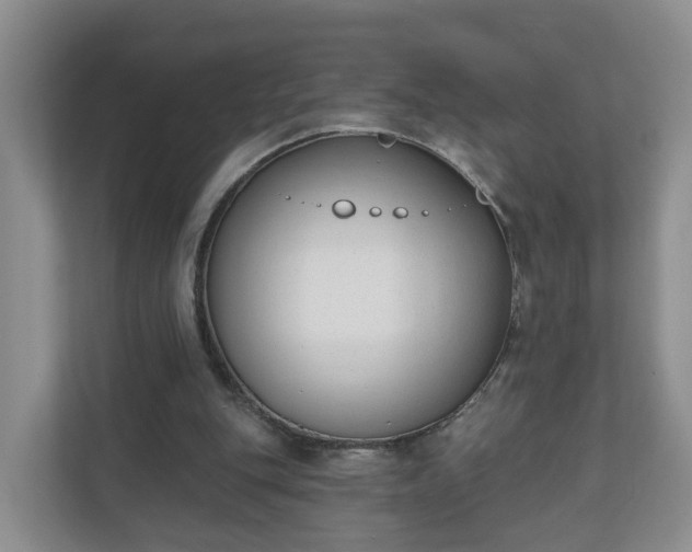 X0000110900151200906251344
