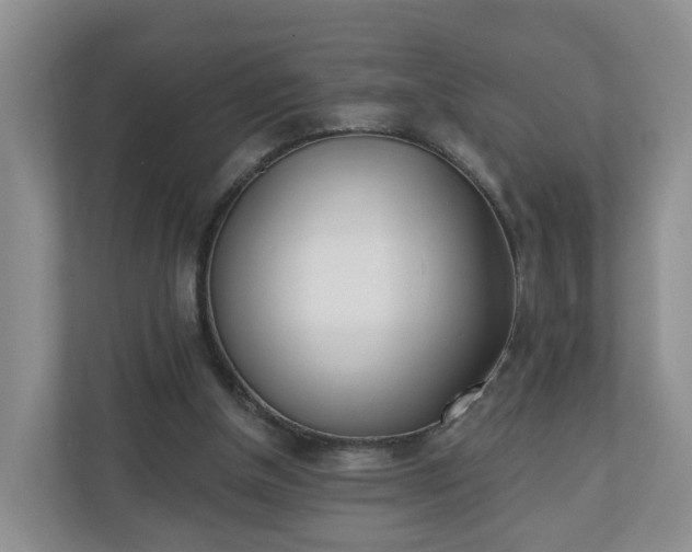 X0000110900154200906251344