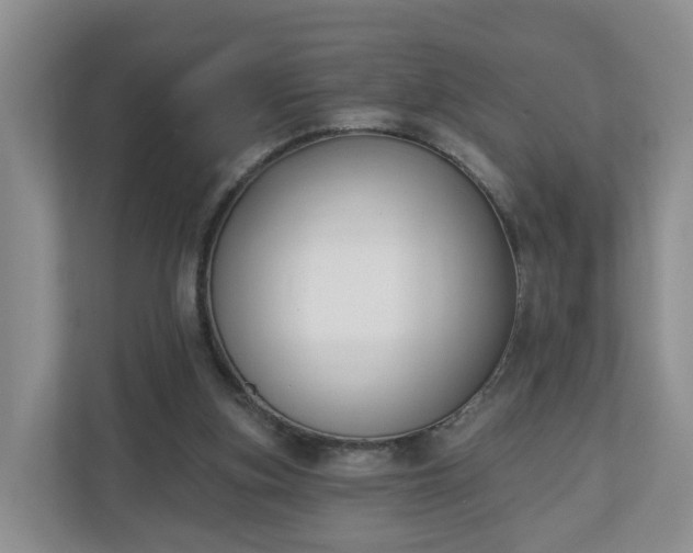 X0000110900155200906251344