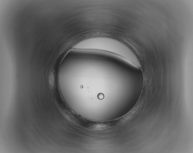 X0000110900158200906251344