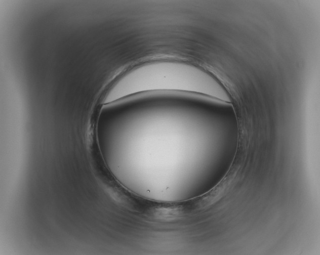 X0000110900160200906251344