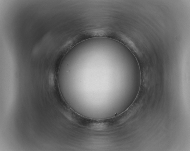 X0000110900161200906251344