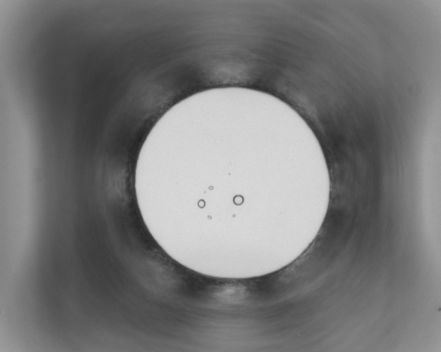 X0000110900162200906251344
