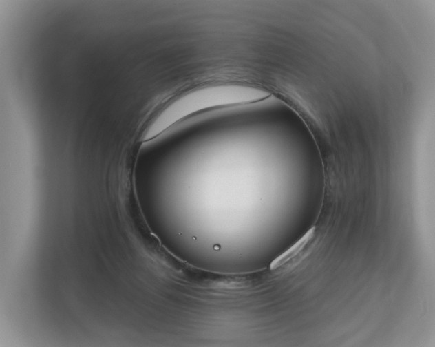 X0000110900164200906251344