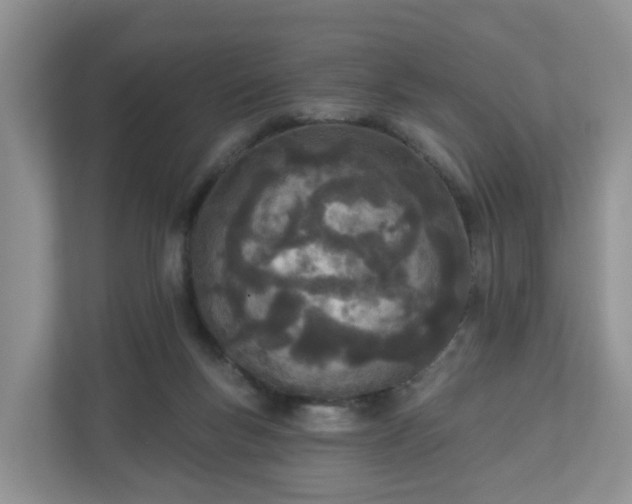 X0000110900167200906251344