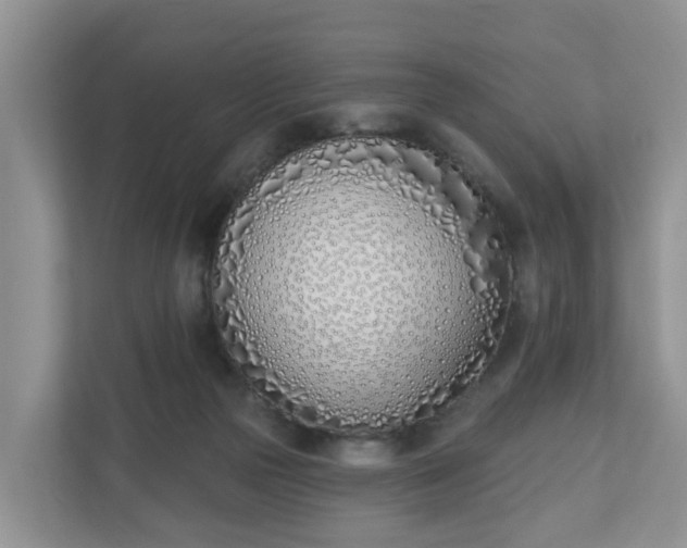 X0000110900169200906251345
