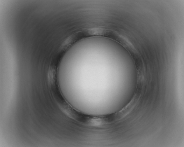 X0000110900171200906251345