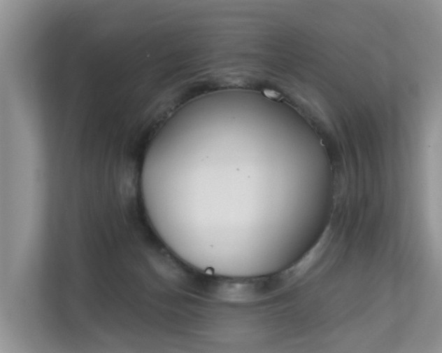 X0000110900174200906251345