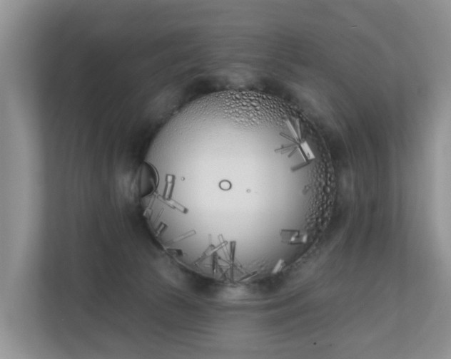 X0000110900177200906251345