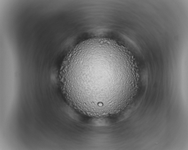 X0000110900181200906251345