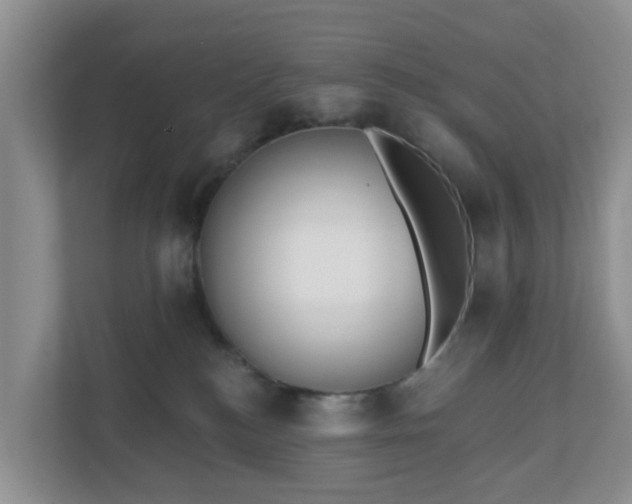 X0000110900184200906251345