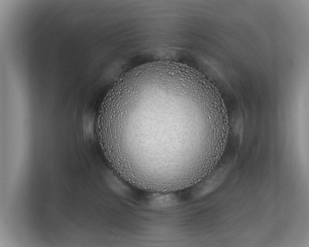 X0000110900185200906251345
