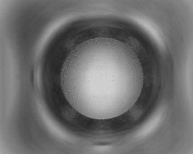 X0000110900189200906251345