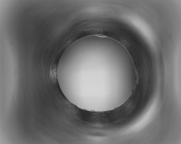X0000110900190200906251345