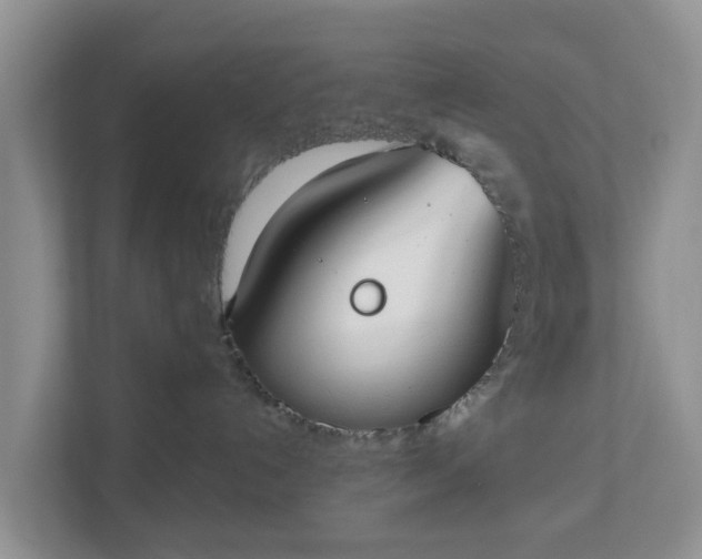 X0000110900192200906251345