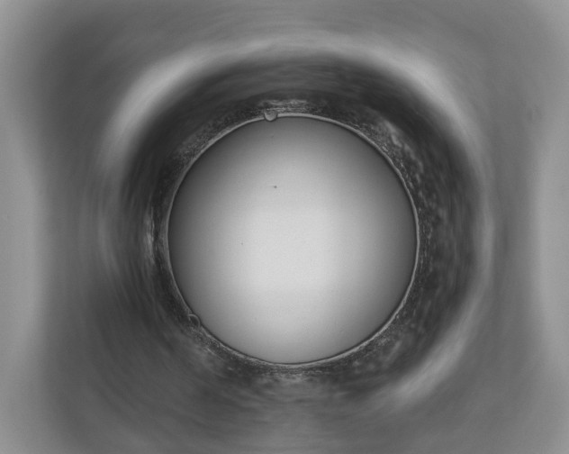 X0000110900194200906251344