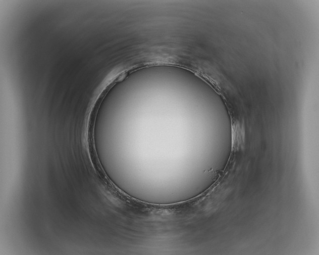 X0000110900195200906251344