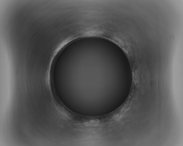 X0000110900196200906251344