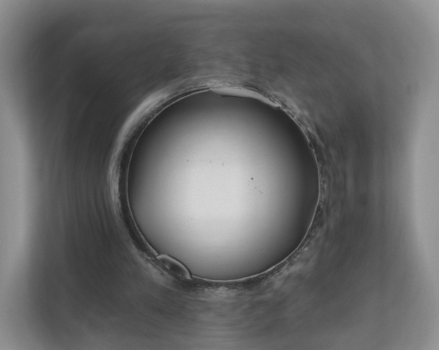 X0000110900197200906251344