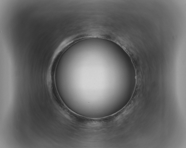 X0000110900198200906251344