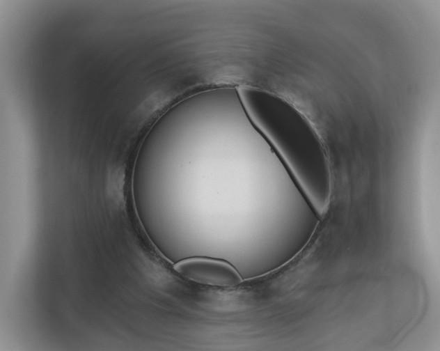 X0000110900201200906251344
