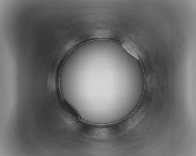 X0000110900203200906251344