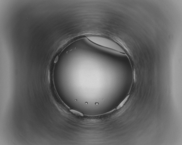 X0000110900205200906251344