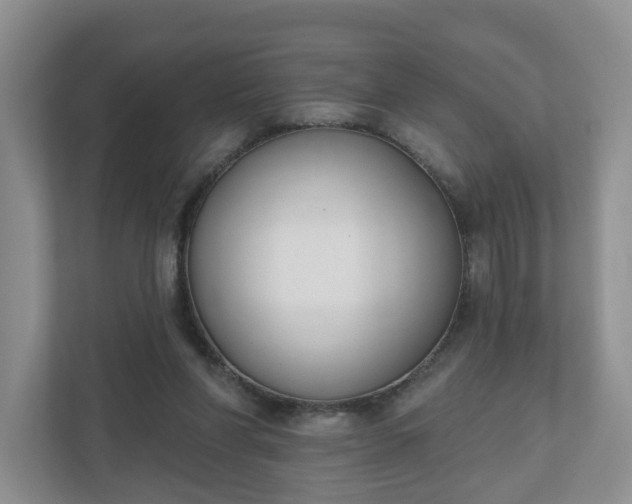 X0000110900206200906251344