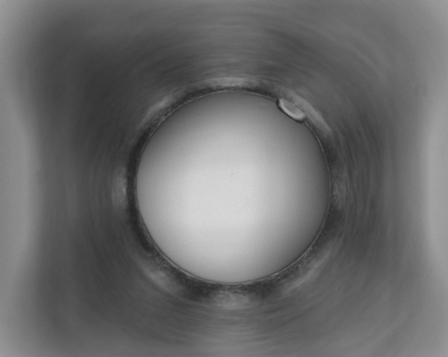 X0000110900207200906251344