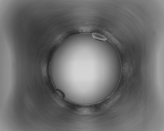 X0000110900209200906251344
