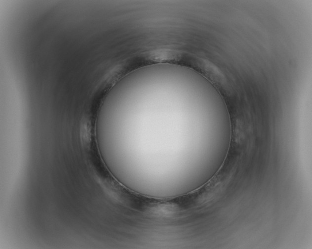 X0000110900210200906251344