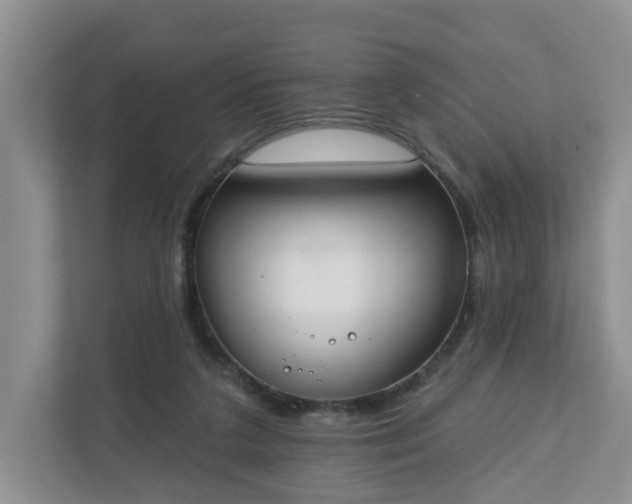 X0000110900211200906251344