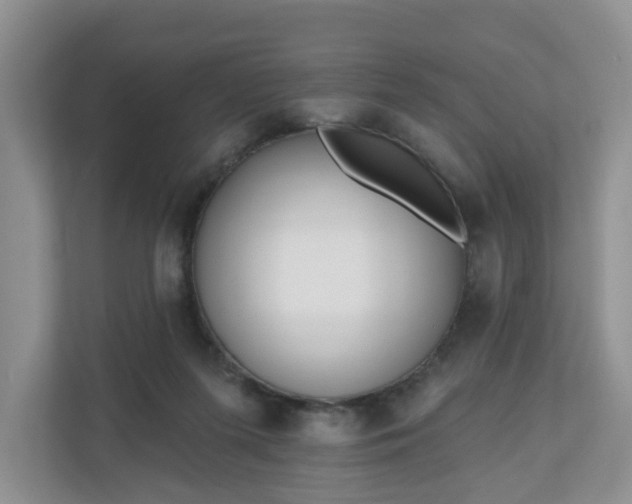X0000110900215200906251344