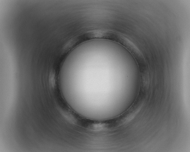 X0000110900216200906251344