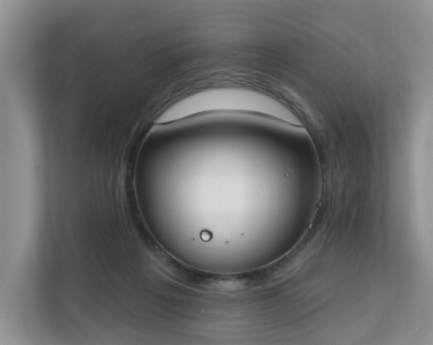 X0000110900217200906251344