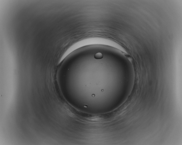 X0000110900219200906251344