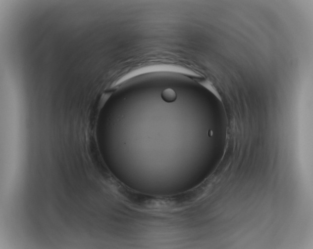 X0000110900223200906251344
